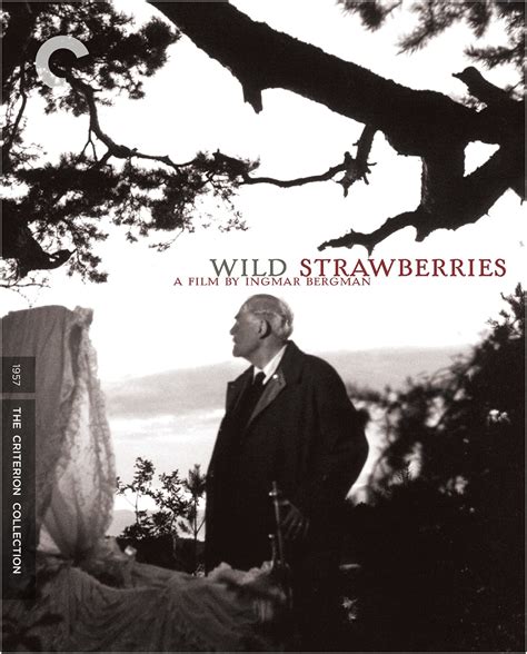 Wild strawberries movie. Things To Know About Wild strawberries movie. 